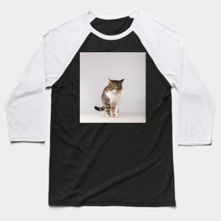 adorable striped cat Baseball T-Shirt